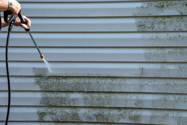 Best Yard Waste Removal  in Bayville, NY
